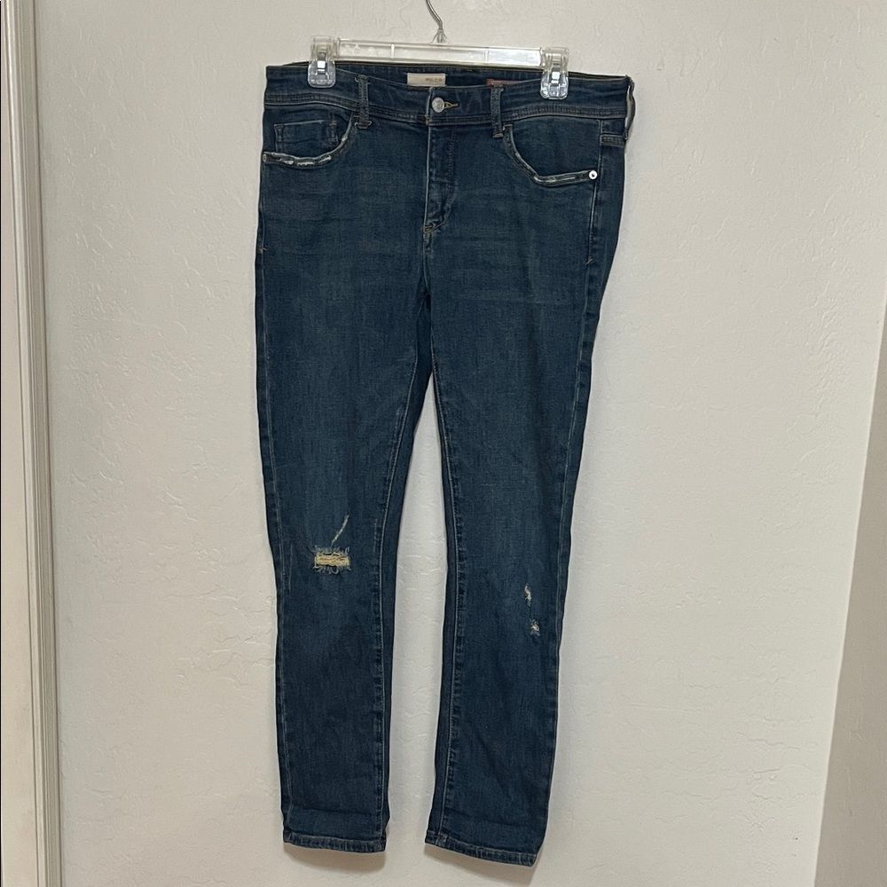 Anthropologie Pilcro Slim Boyfriend Denim Ripped Distressed Jeans Boho Modern